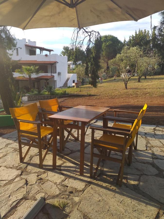 Cortessa Apartments Nikiti  Esterno foto